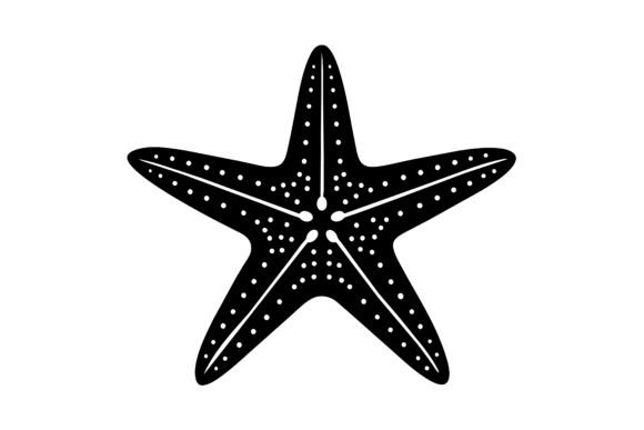 About Only One Star Fish: A Versatile Graphic for Freebies and Digital Creations